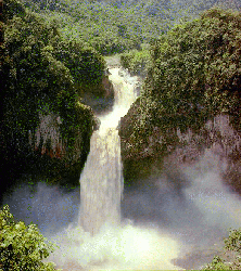 image.